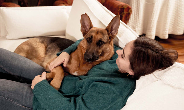 Deciding to Welcome a Canine Companion: 5 Vital Considerations